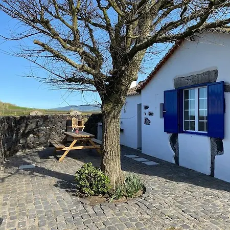 Vacas Felizes - Casa Da Bilha * Rabo de Peixe