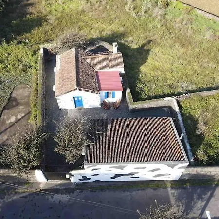 Vacas Felizes - Casa Da Bilha Rabo de Peixe