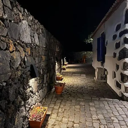 Vacas Felizes - Casa Da Bilha