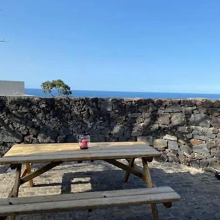 Vacas Felizes - Casa Da Bilha *